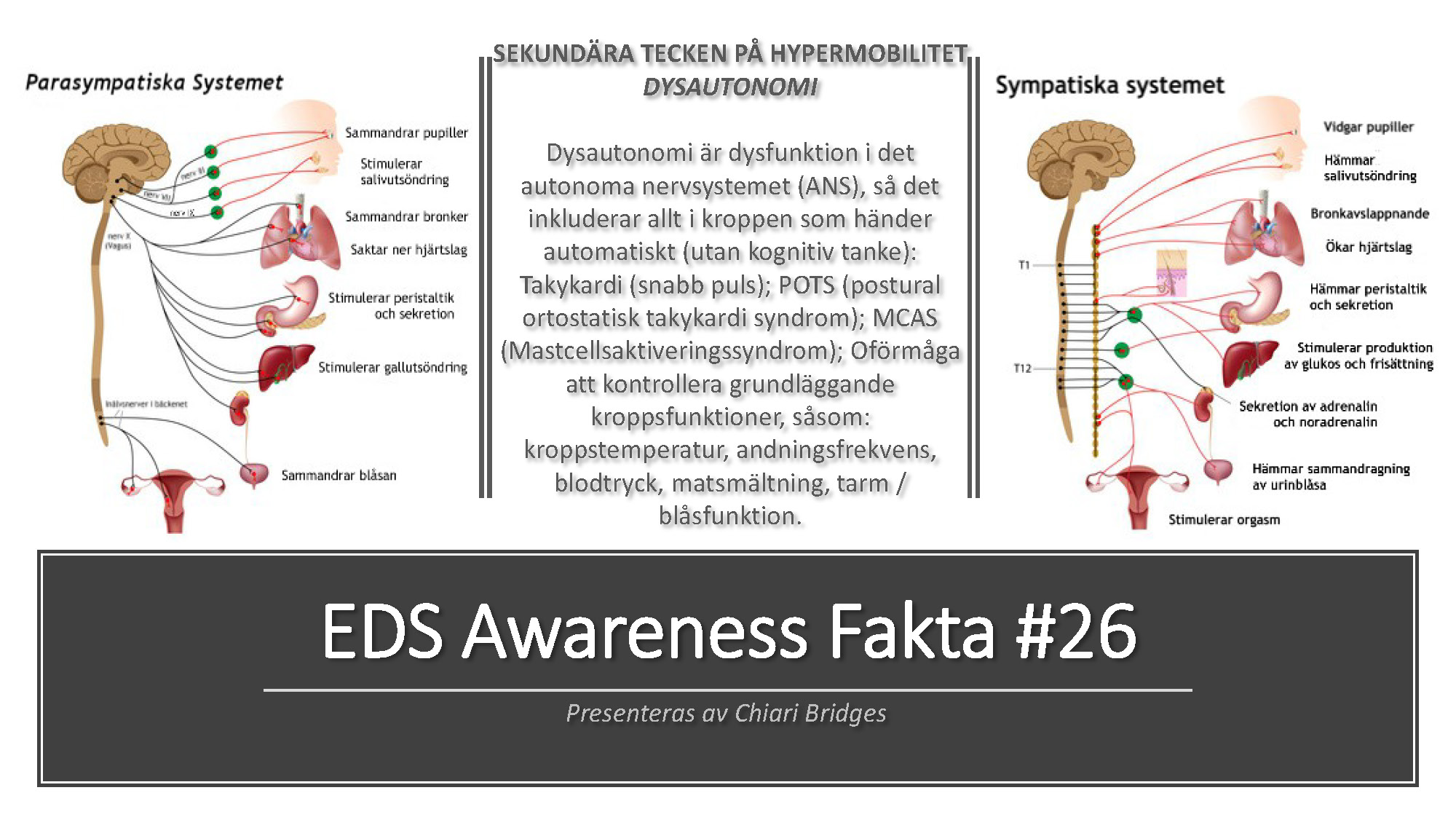 EDS Awareness Fakta #26