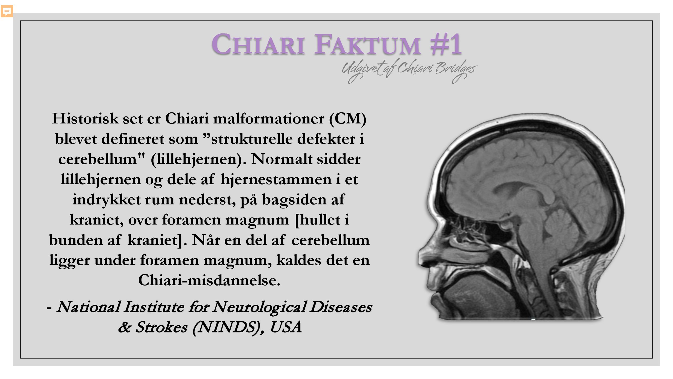 Chiari Faktum #1