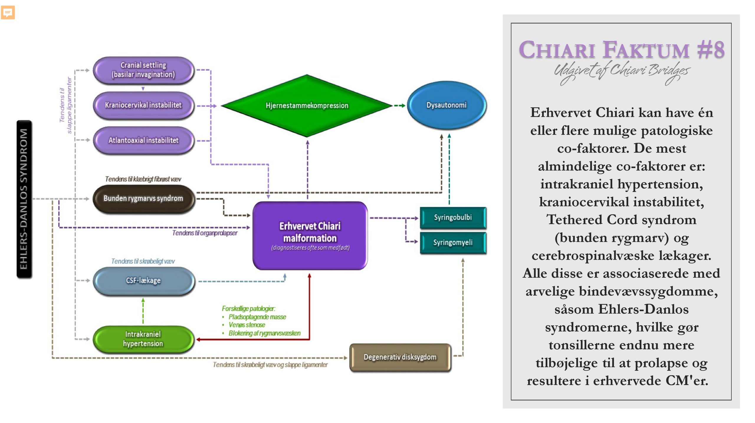 Chiari Faktum #8