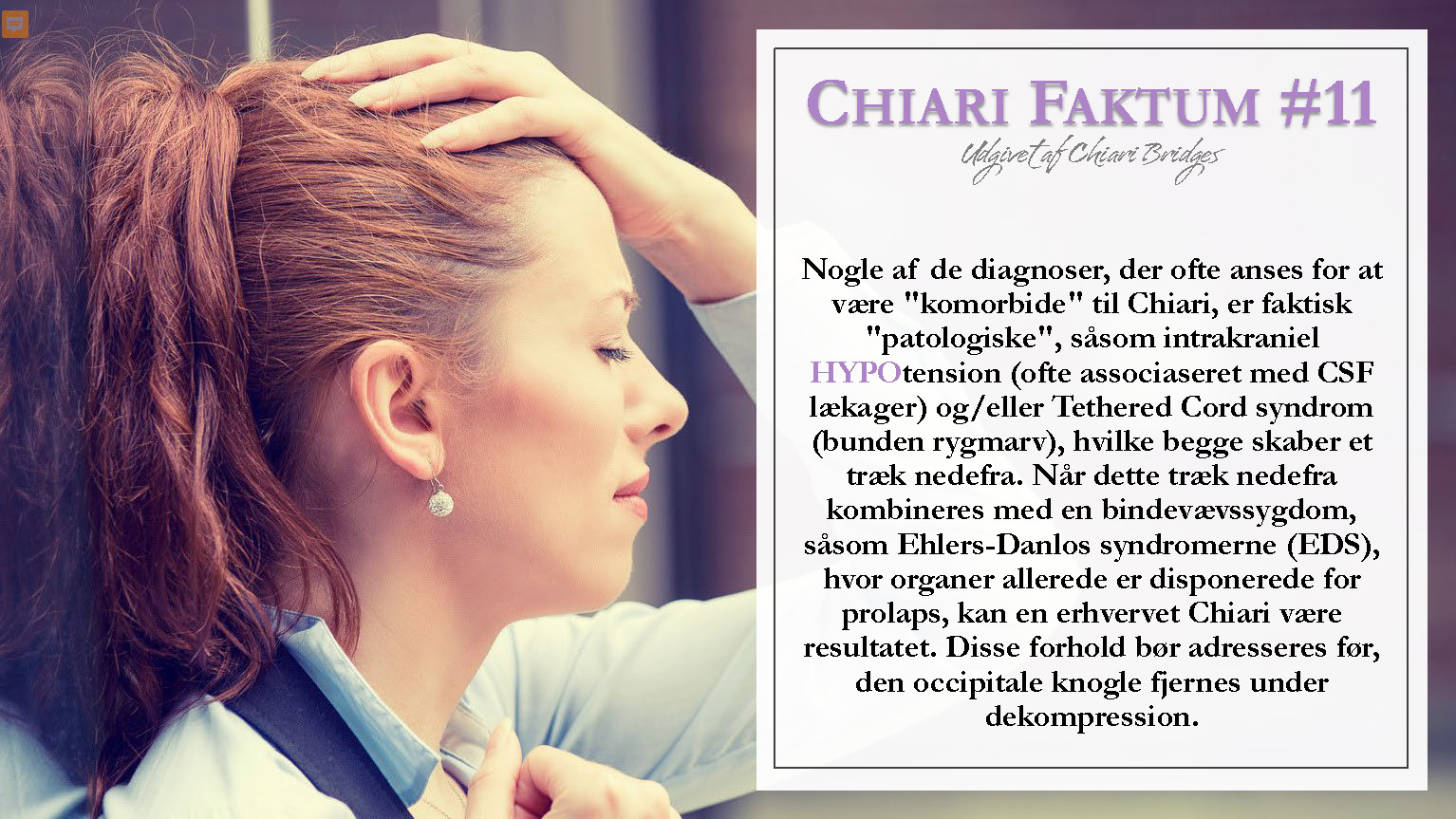 Chiari Faktum #11