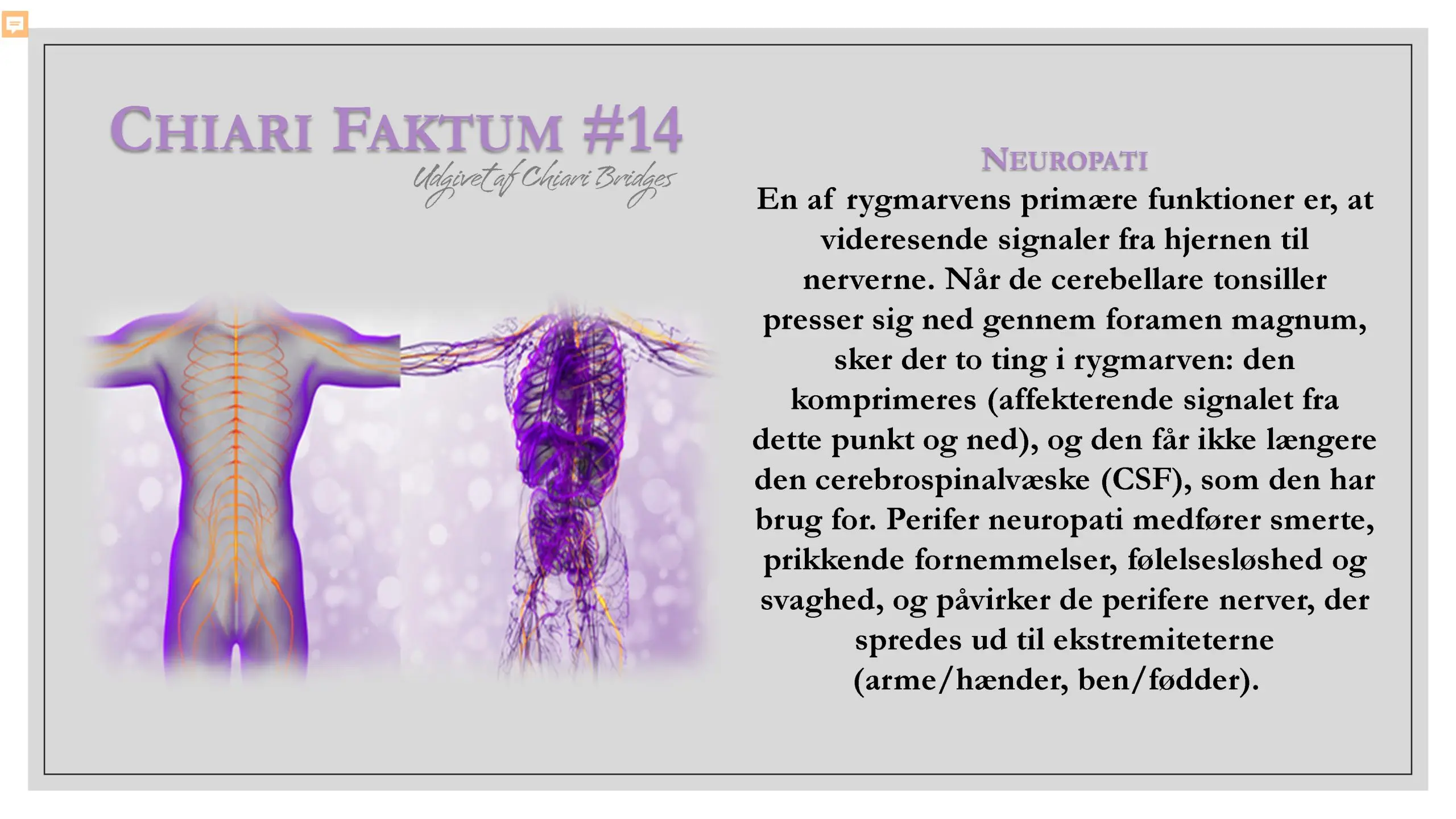 Chiari Faktum #14