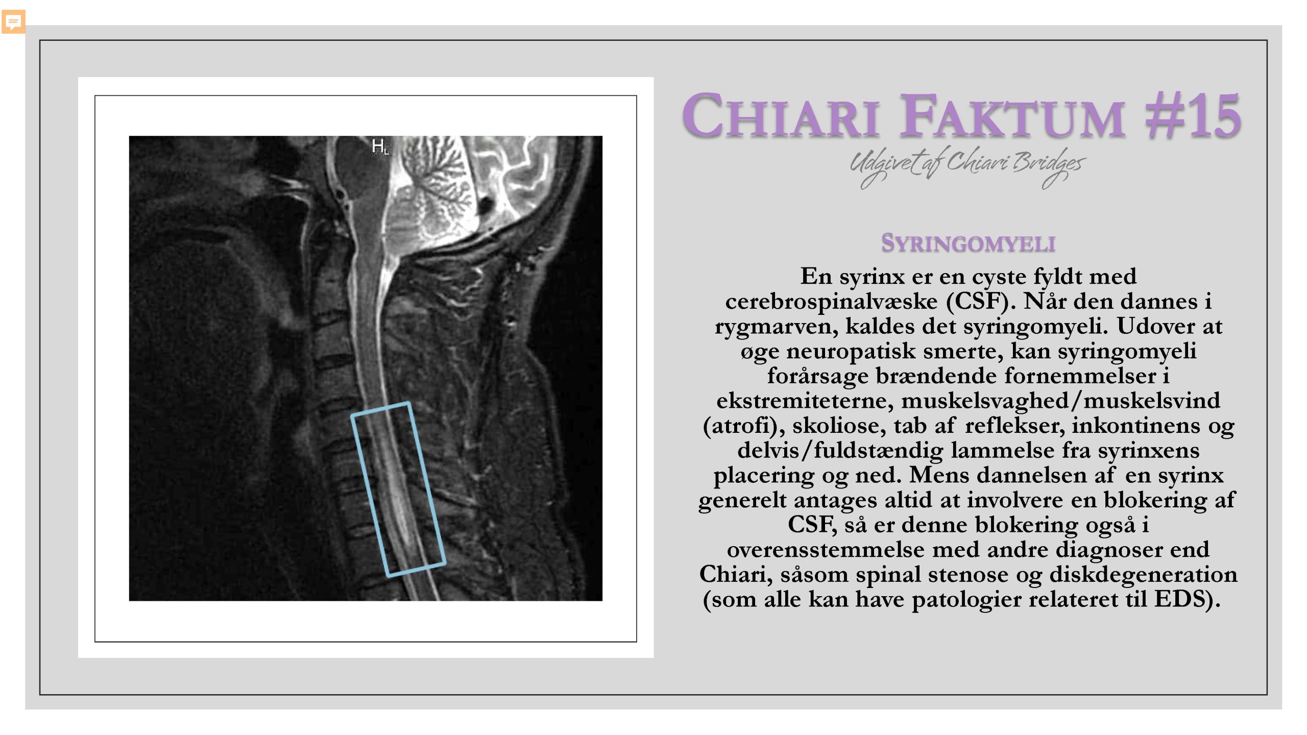 Chiari Faktum #15