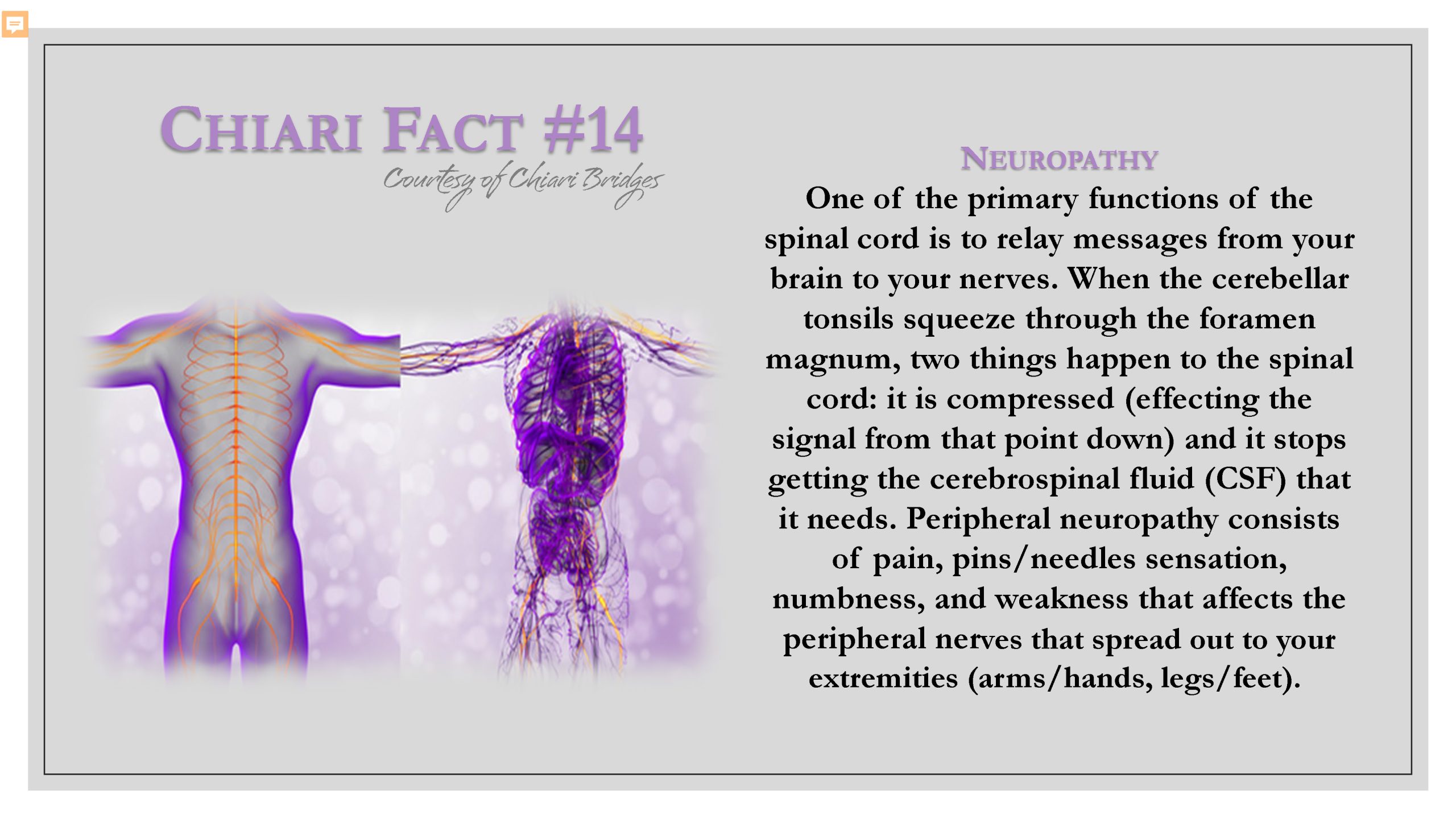 Chiari Fact #14