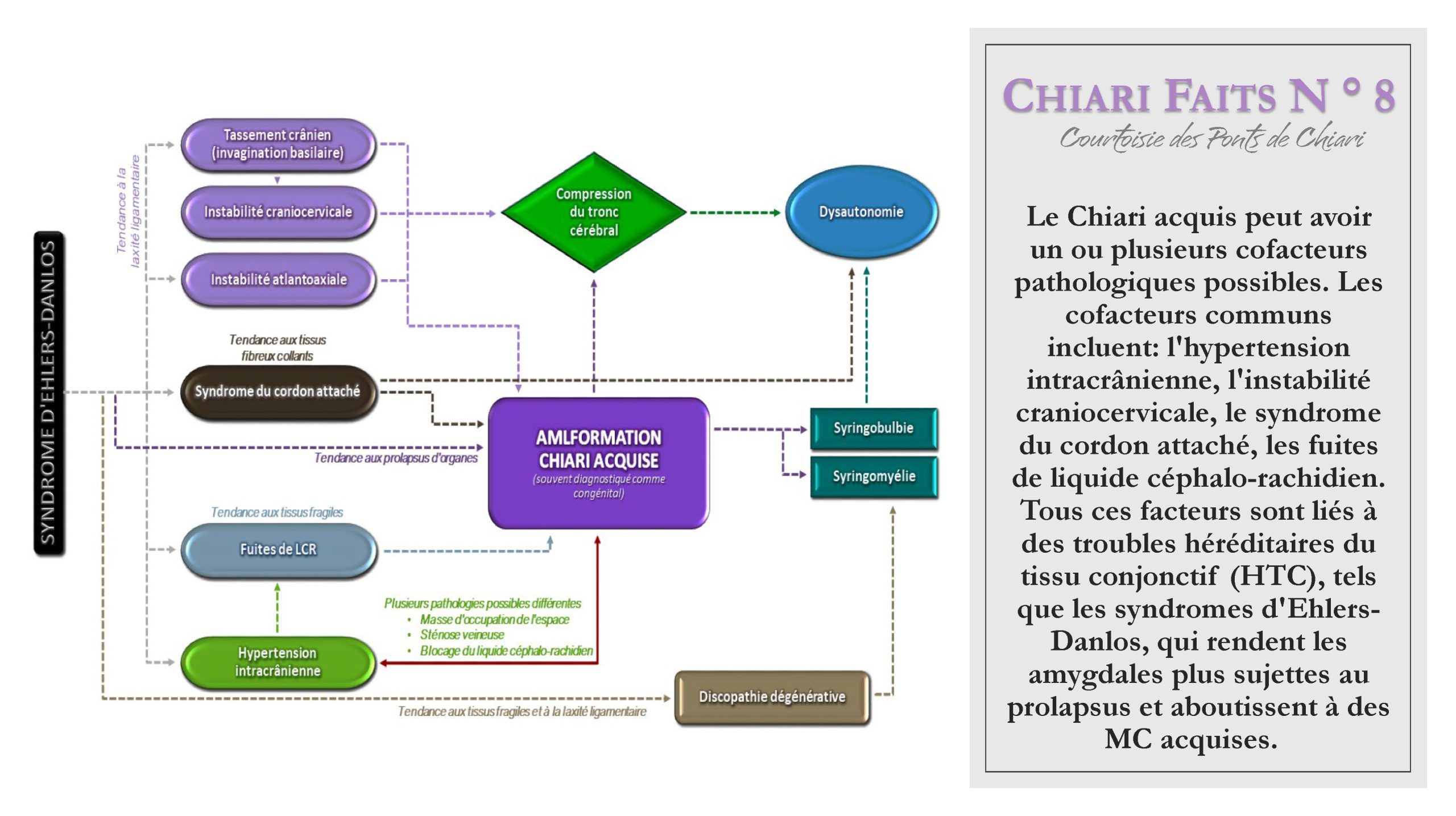 Chiari Faits N ° 8