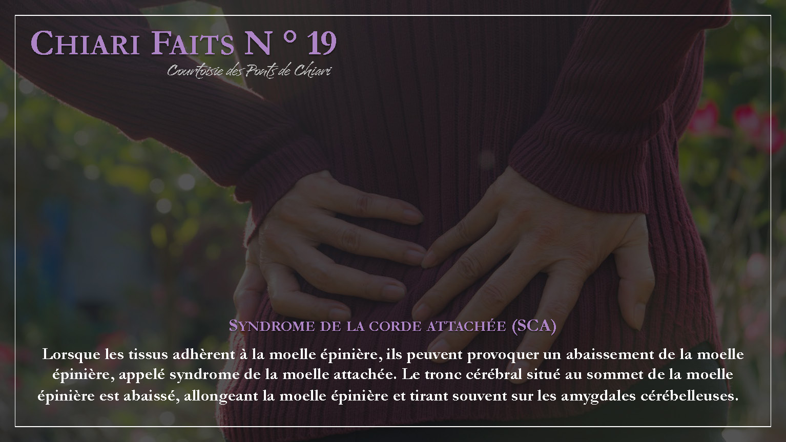 Chiari Faits N ° 19