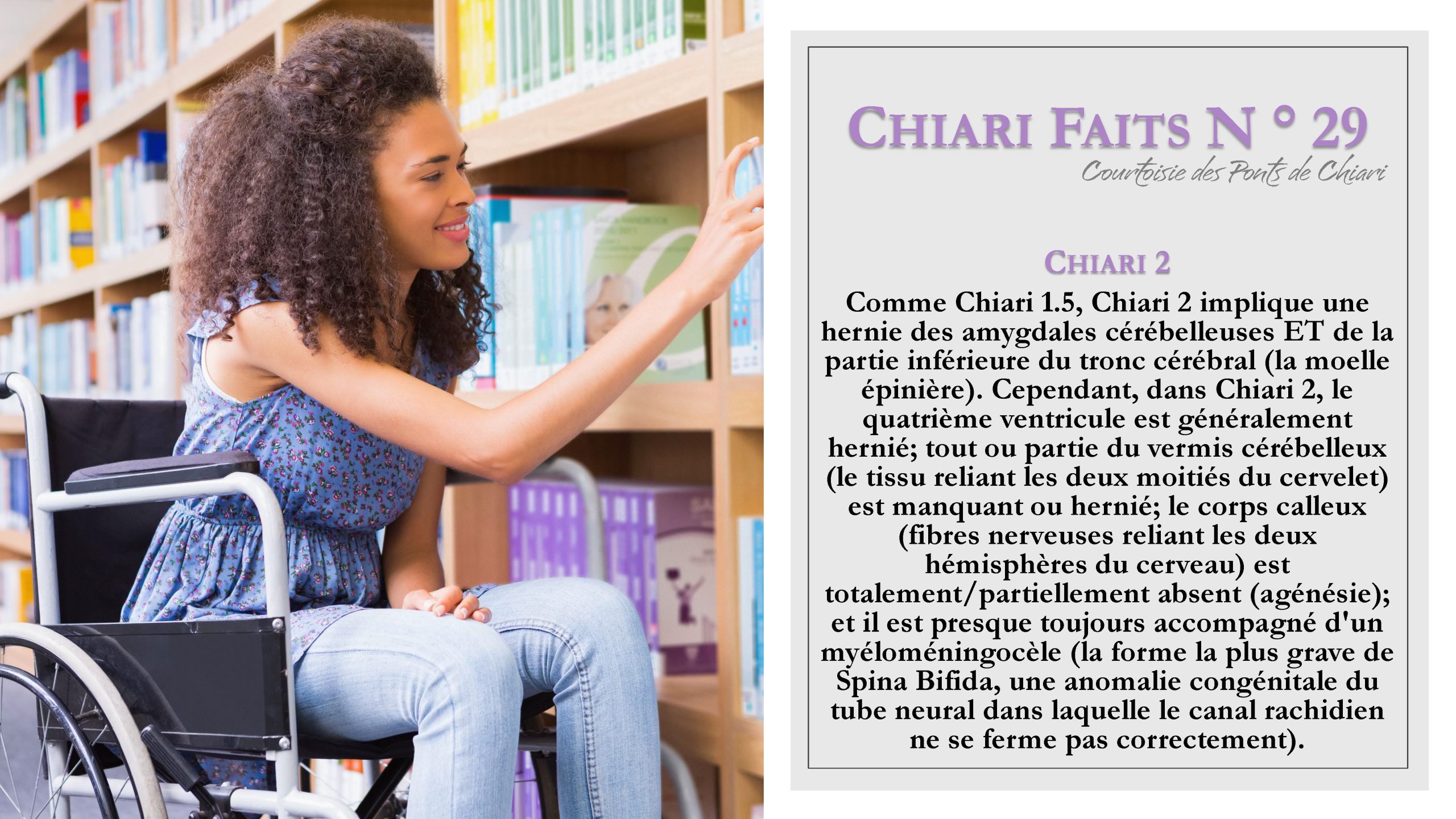 Chiari Faits N ° 29