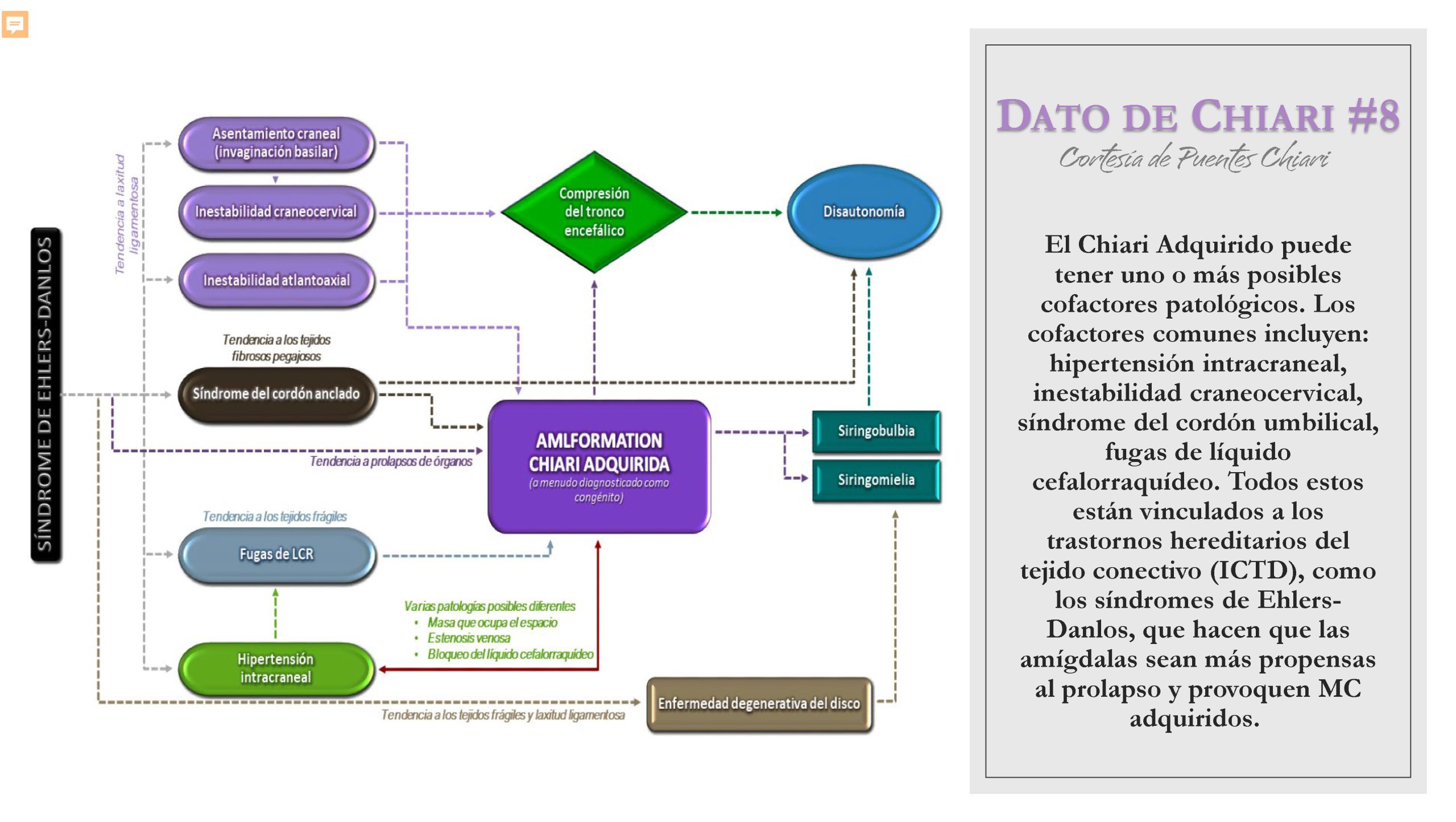 Dato de Chiari #8