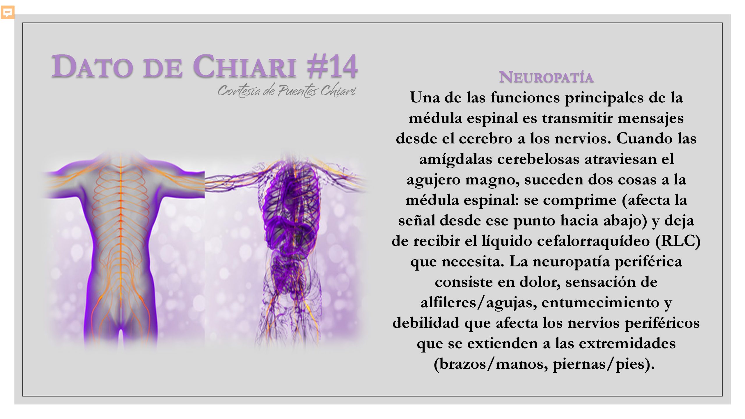 Dato de Chiari #14