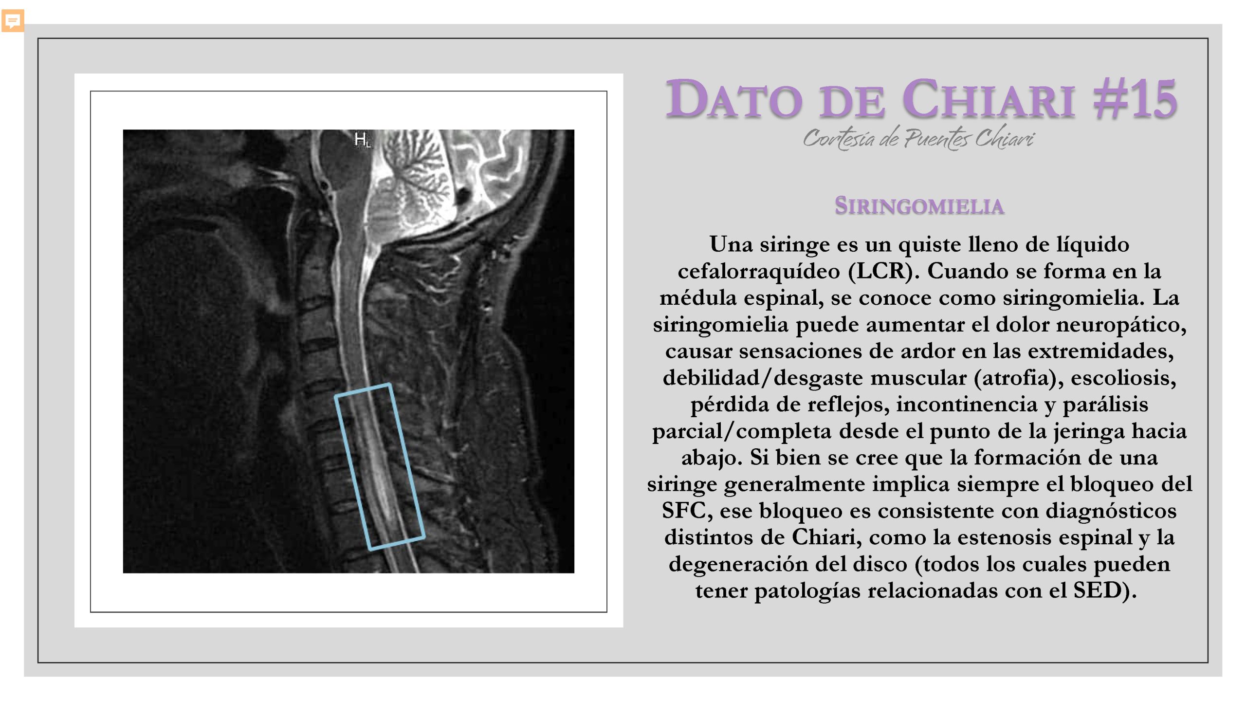 Dato de Chiari #15