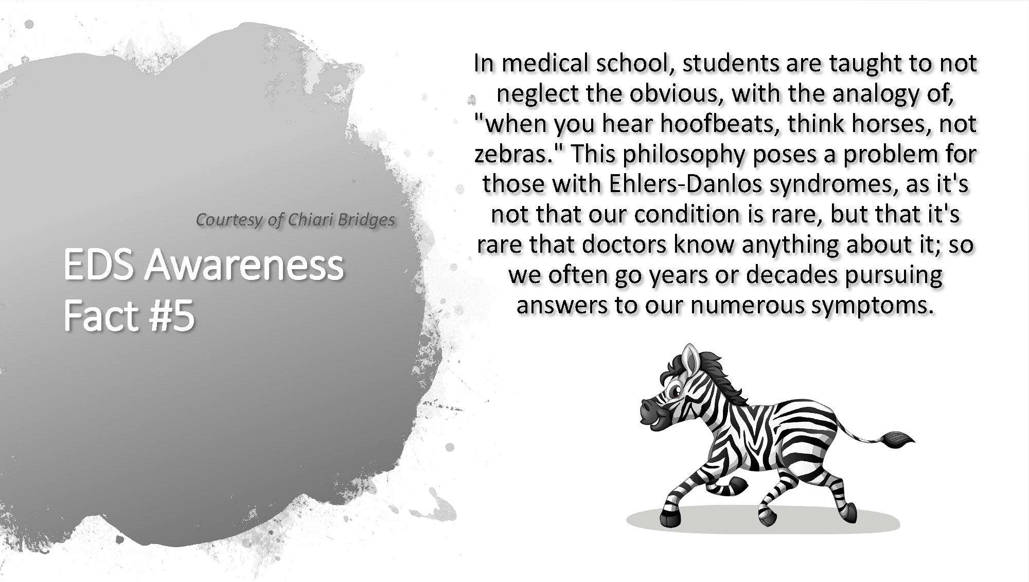 EDS Awareness Fact #5