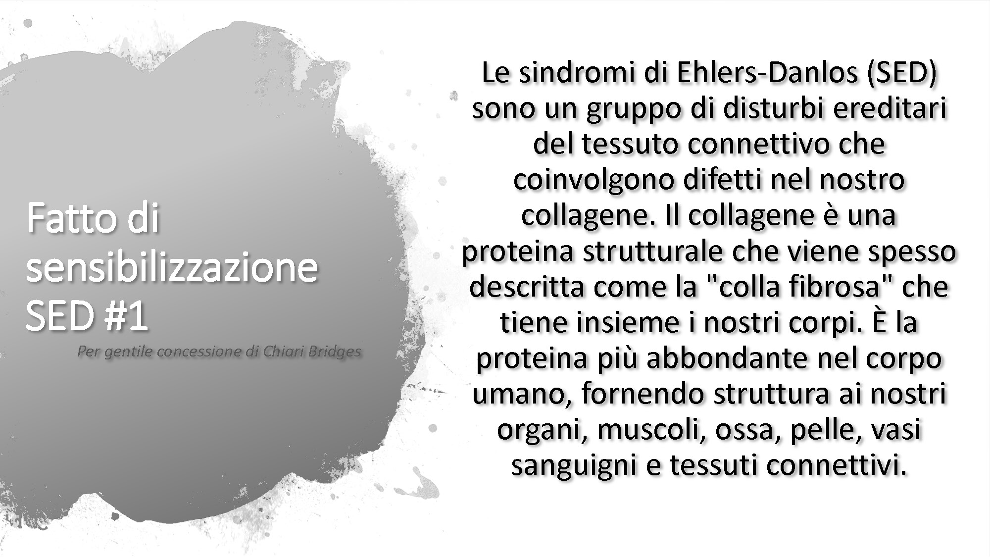 Fatto di sensibilizzazione SED #1