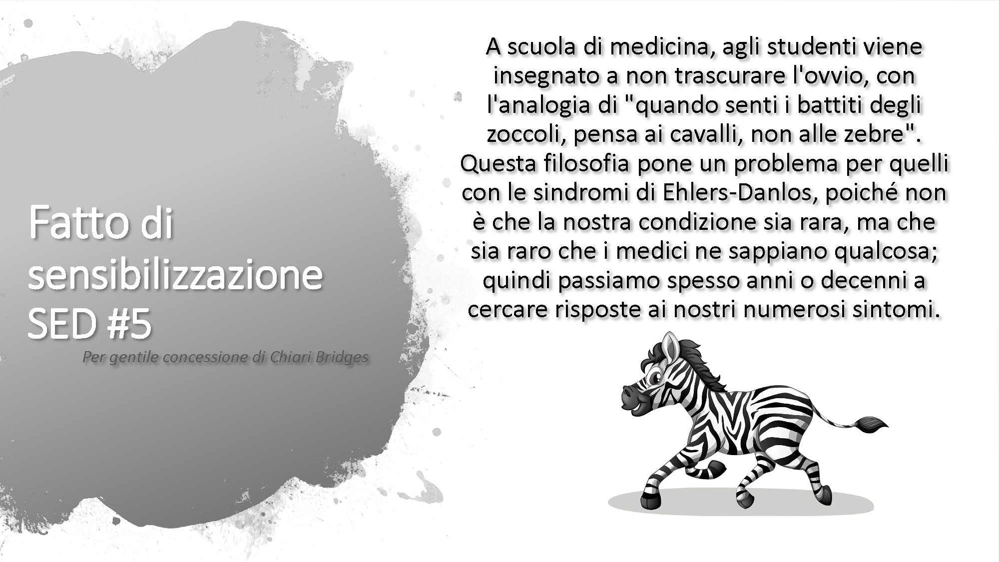 Fatto di sensibilizzazione SED #5