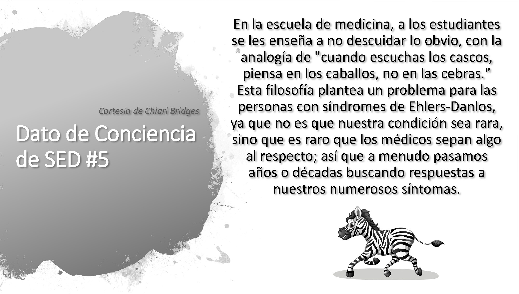 Dato de conciencia de SED #5