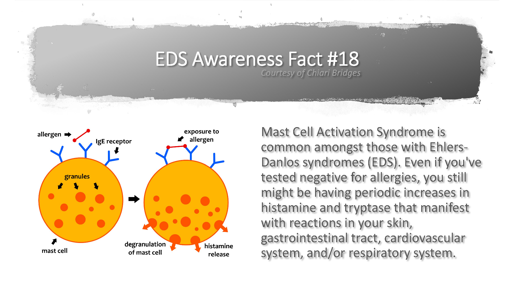 EDS Awareness Fact #18