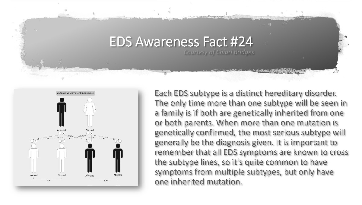 EDS Awareness Fact #24