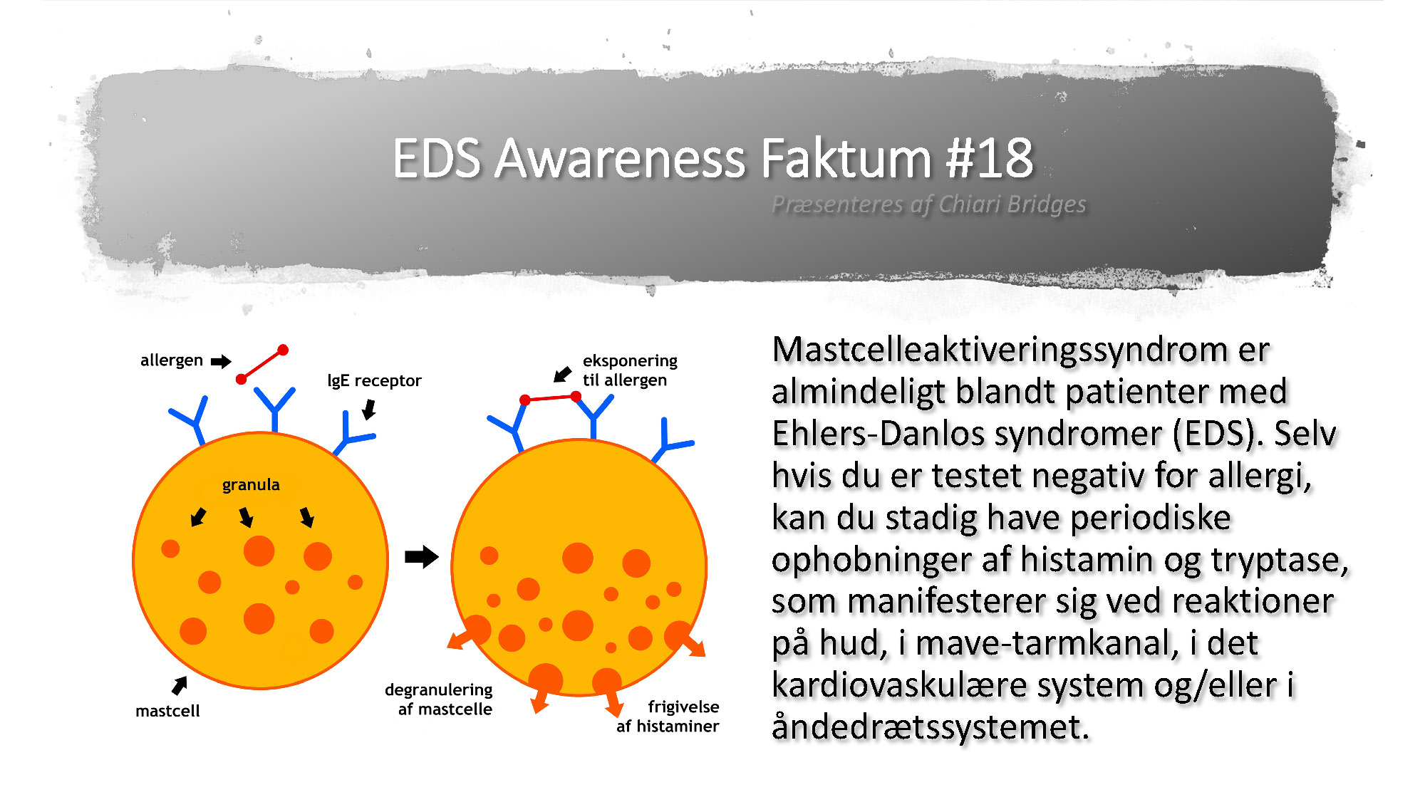 EDS Awareness Faktum #18