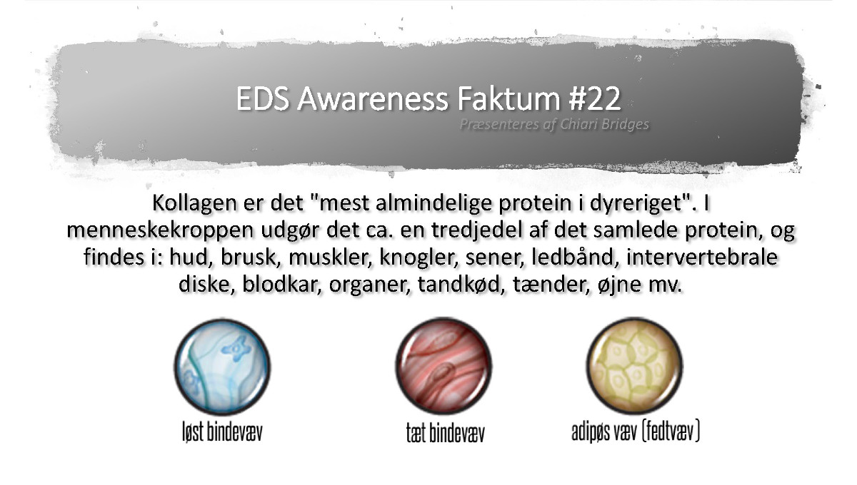 EDS Awareness Faktum #22
