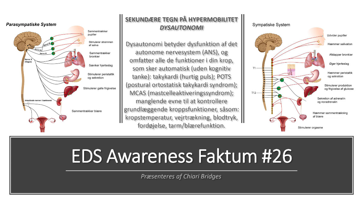 EDS Awareness Faktum #26