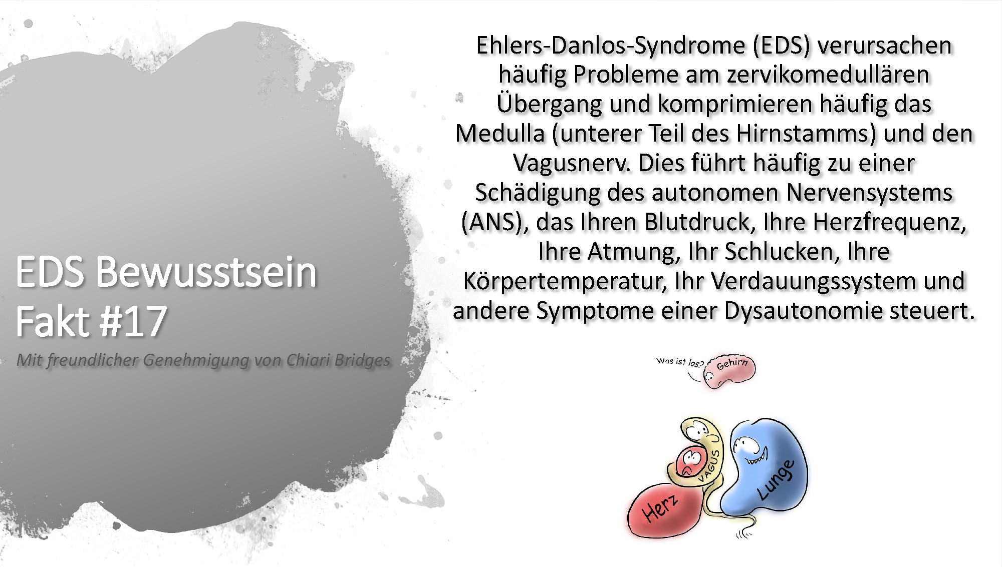 EDS Bewusstsein Fakt #17