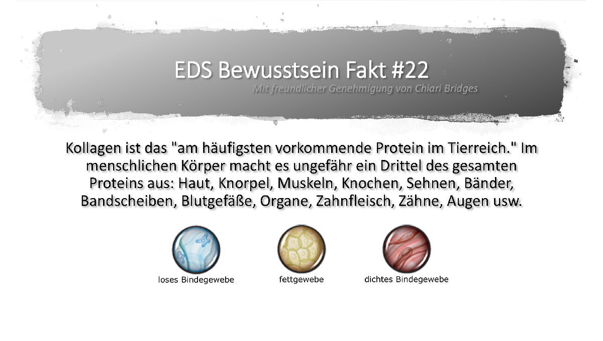 EDS Bewusstsein Fakt #22