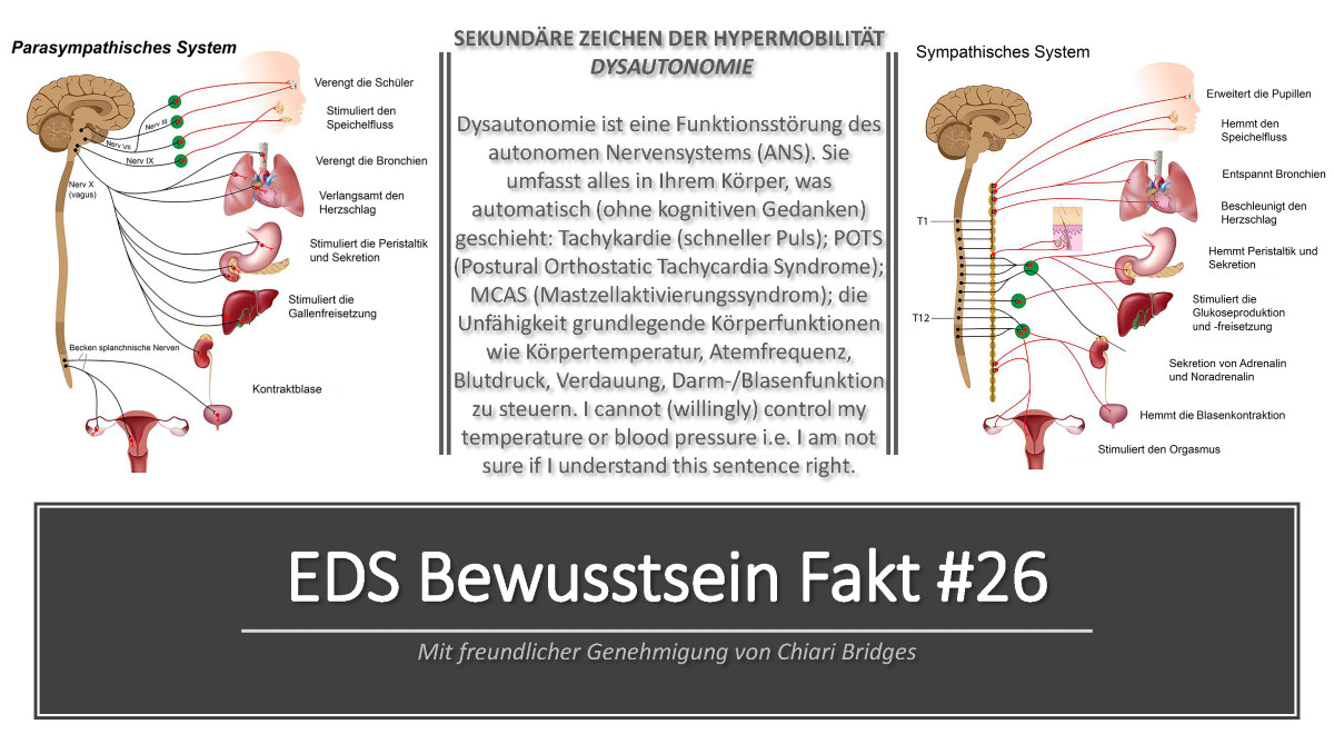 EDS Bewusstsein Fakt #26