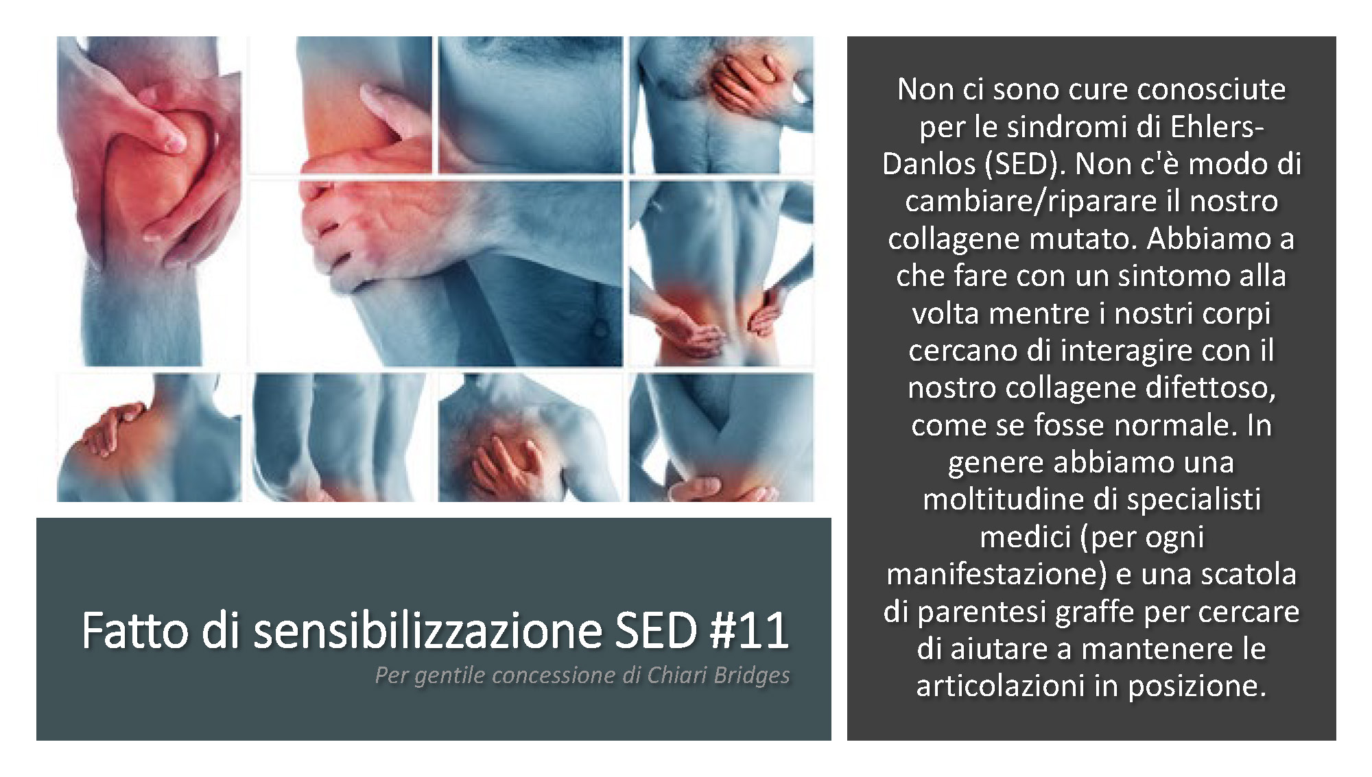 Fatto di sensibilizzazione SED #11