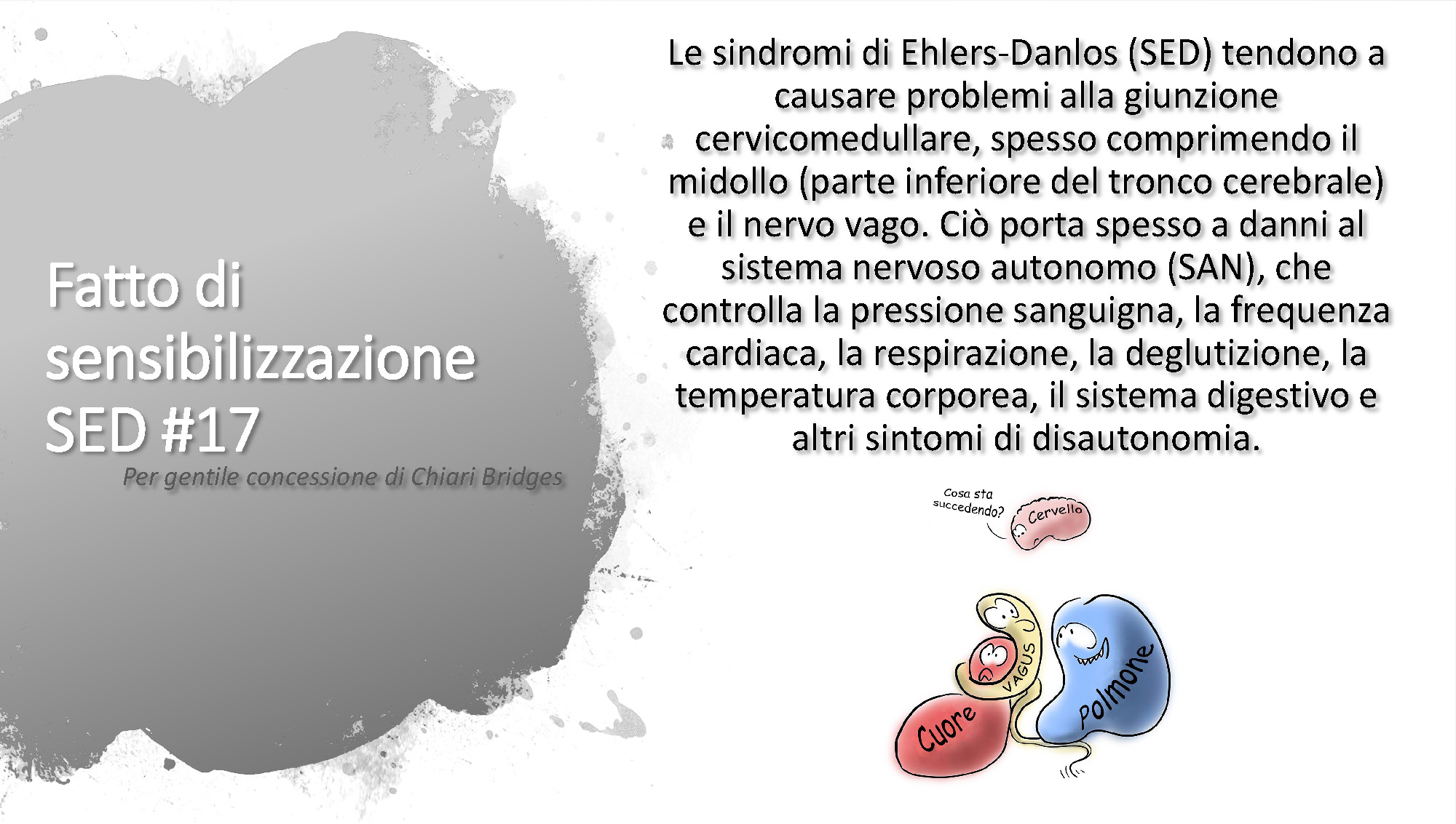 Fatto di sensibilizzazione SED #17