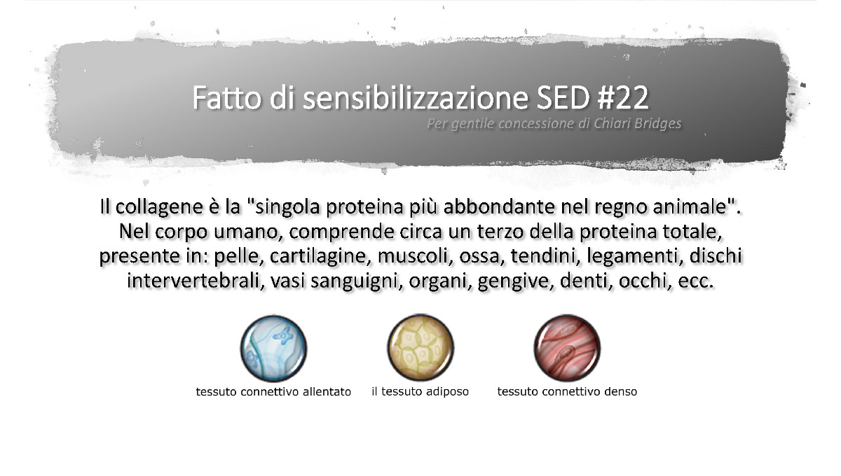 Fatto di sensibilizzazione SED #22