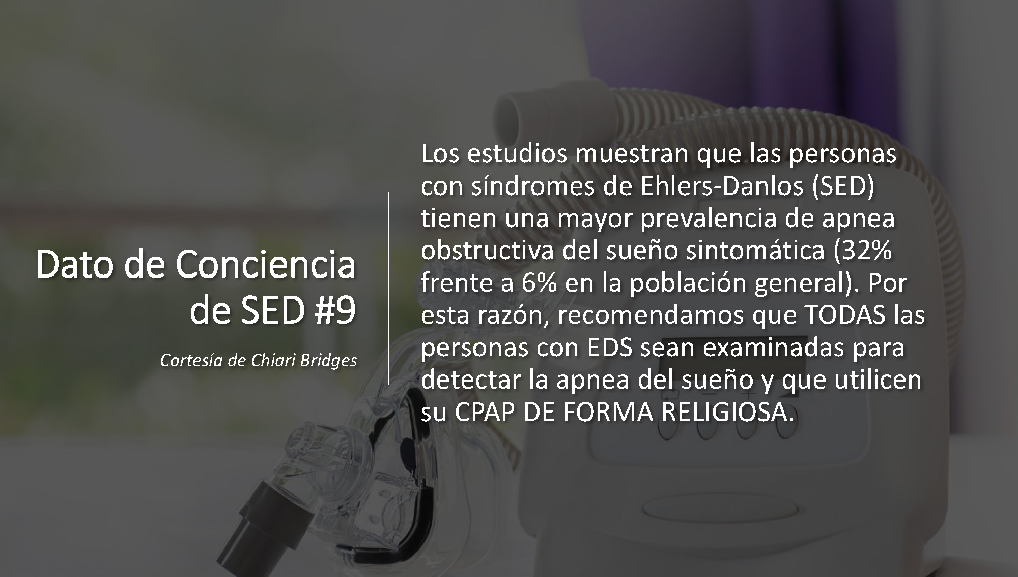 Dato de conciencia de SED #9