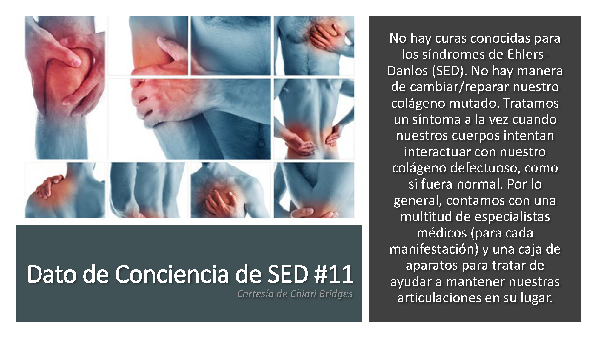 Dato de conciencia de SED #11