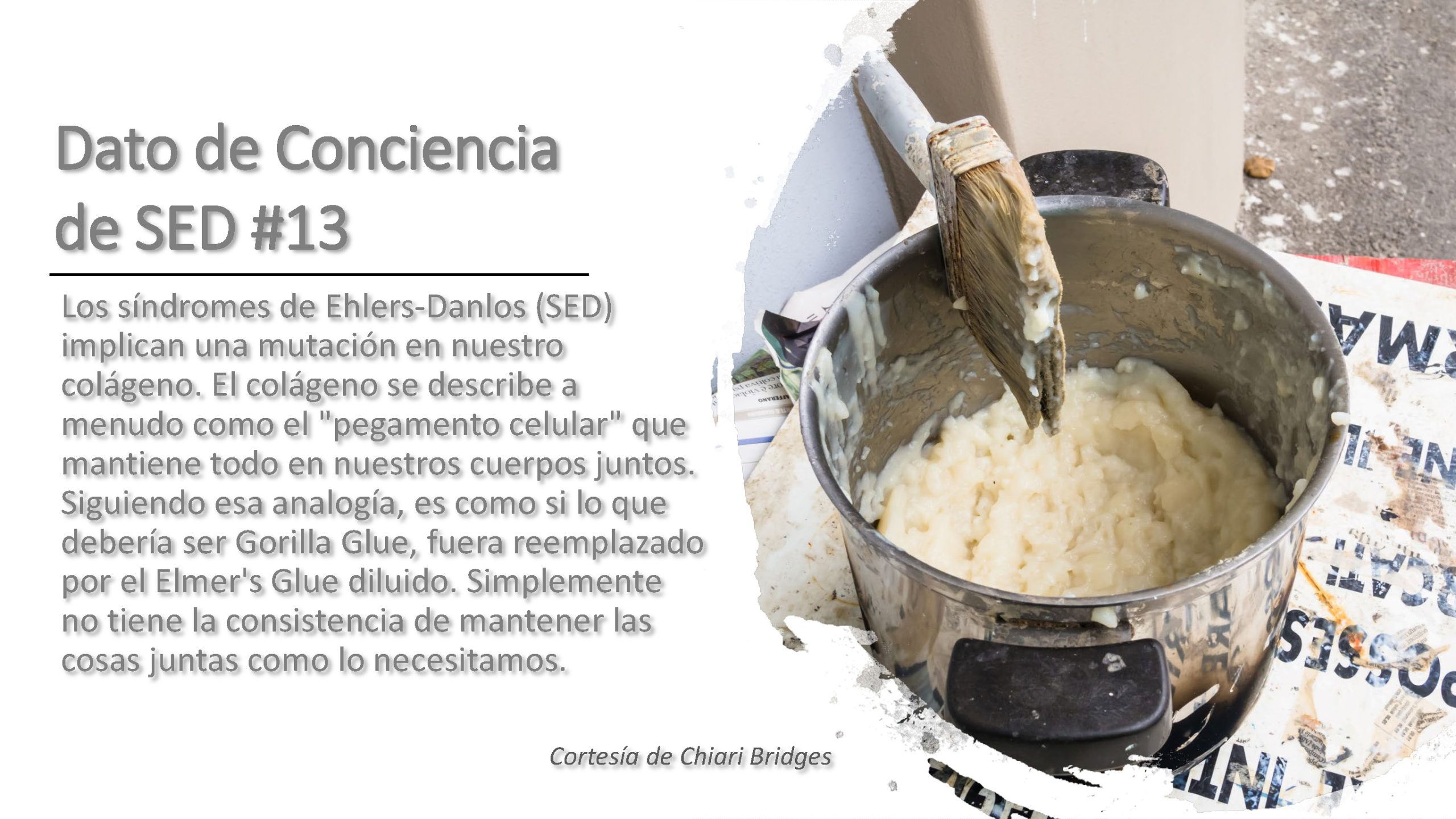 Dato de conciencia de SED #13