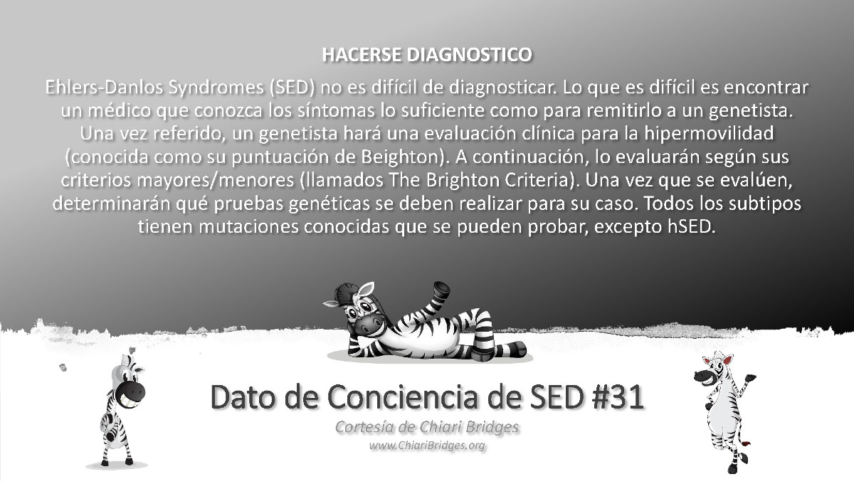 Dato de conciencia de SED #31