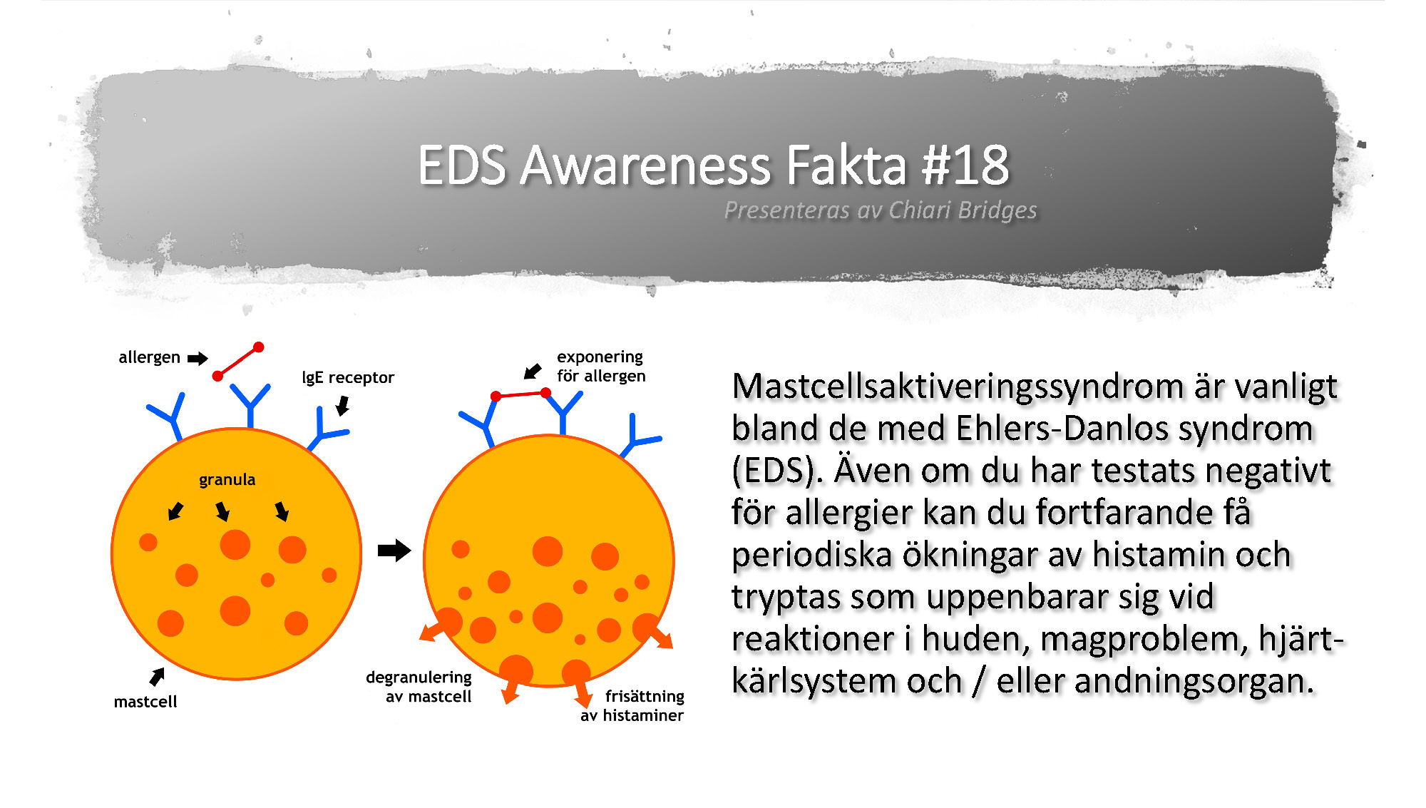 EDS Awareness Fakta #18