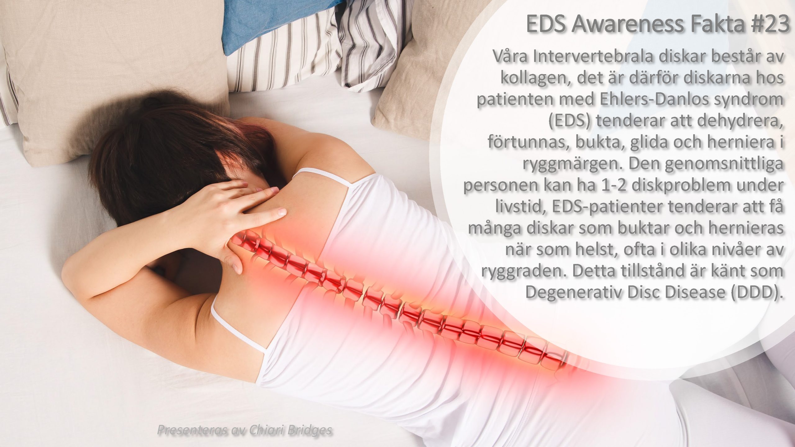 EDS Awareness Fakta #23